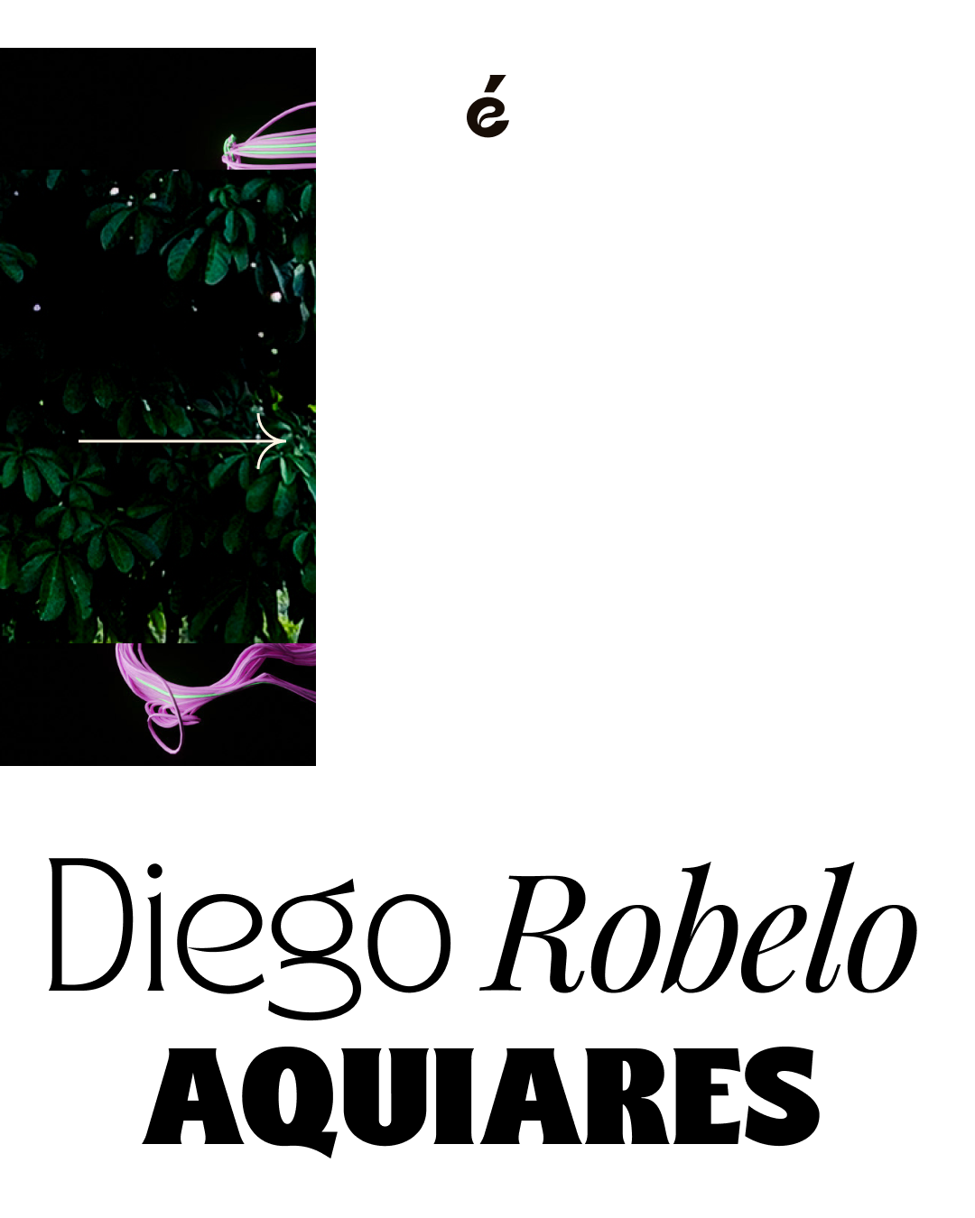 Diego Robelo