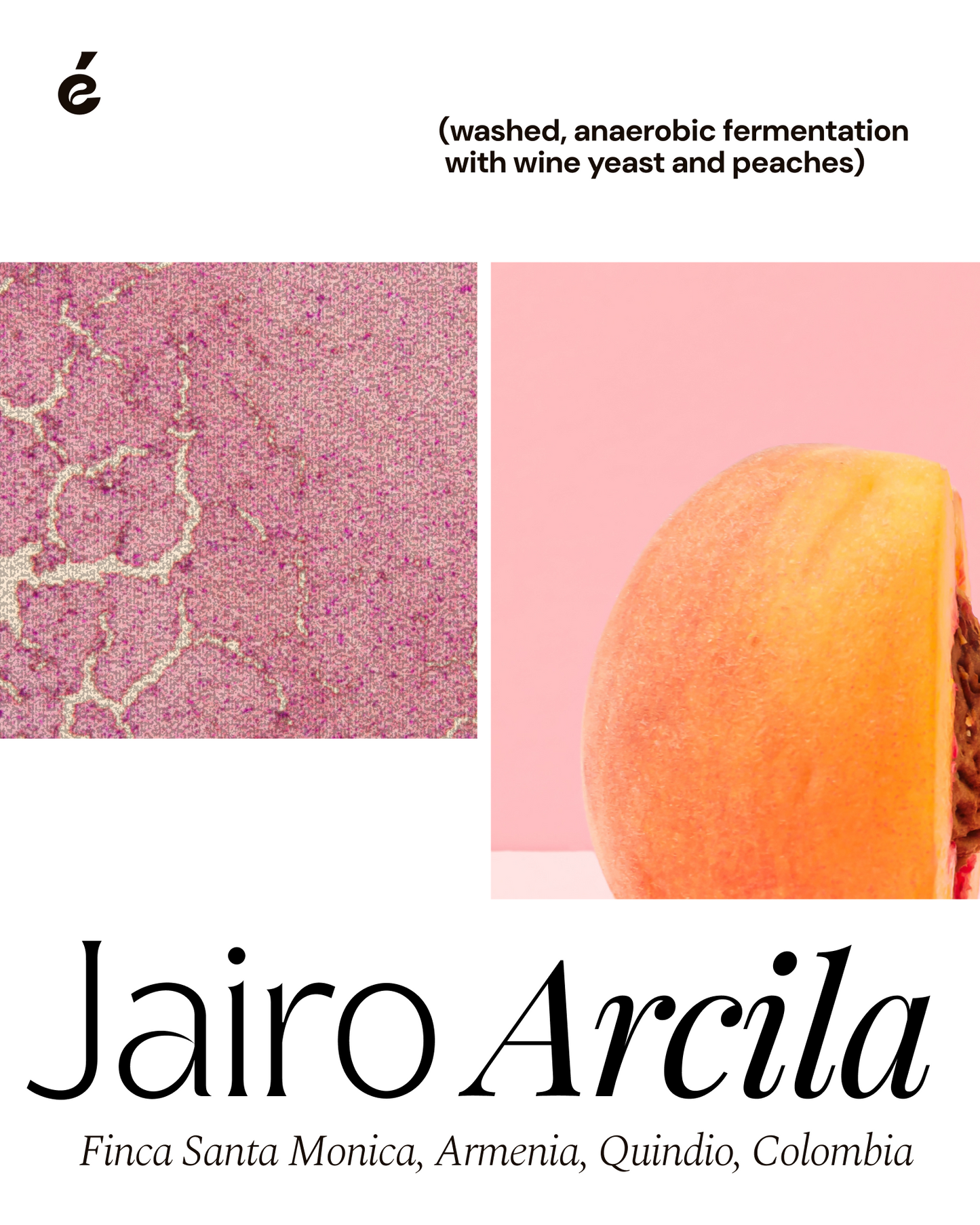 Jairo Arcila