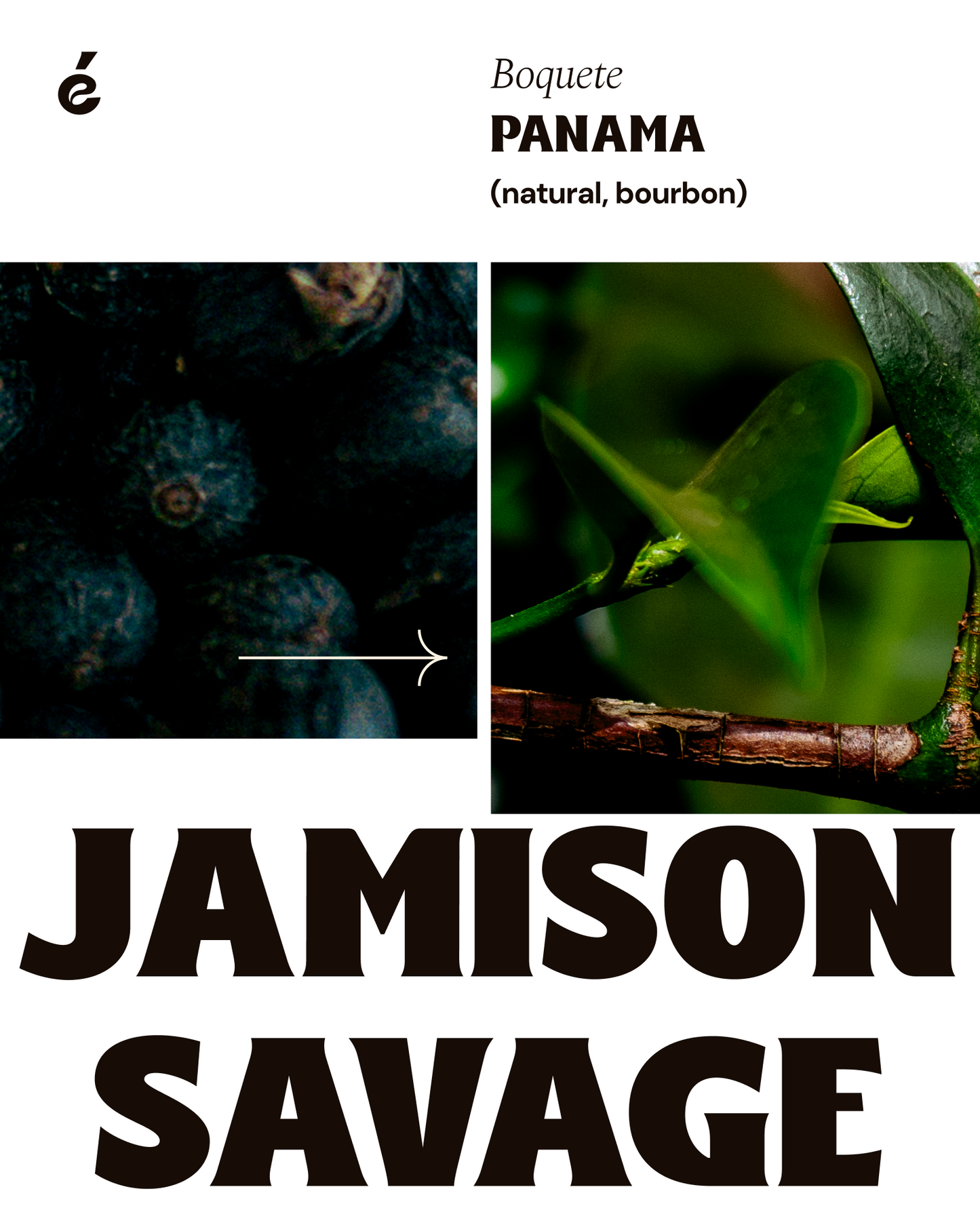 Jamison Savage - Traditional