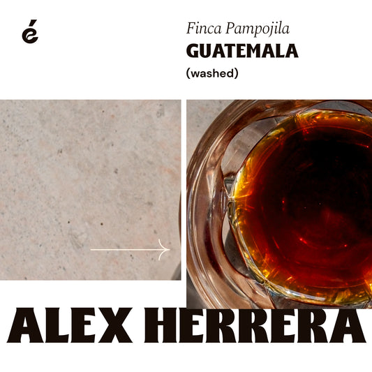 Alex Herrera