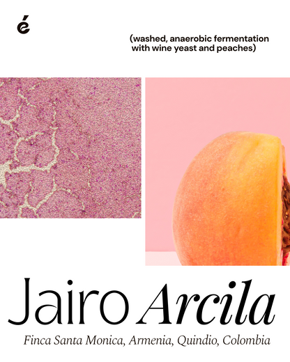 Jairo Arcila