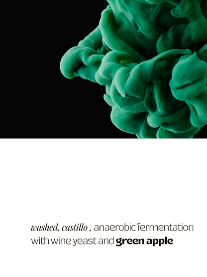 Jairo Arcila, Green Apple