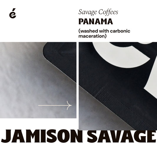 Jamison Savage -  Iridescence