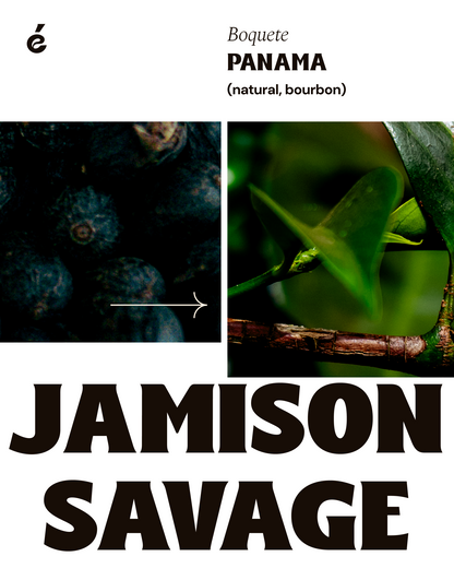 Jamison Savage - Traditional