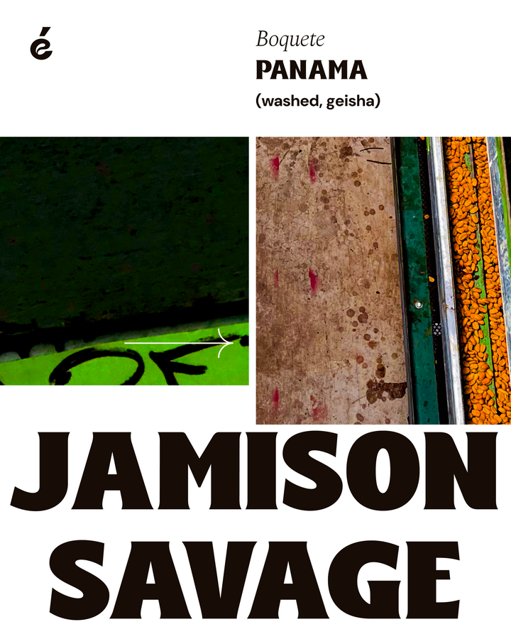 Jamison Savage -  Iridescence