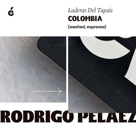 Rodrigo Pelaez