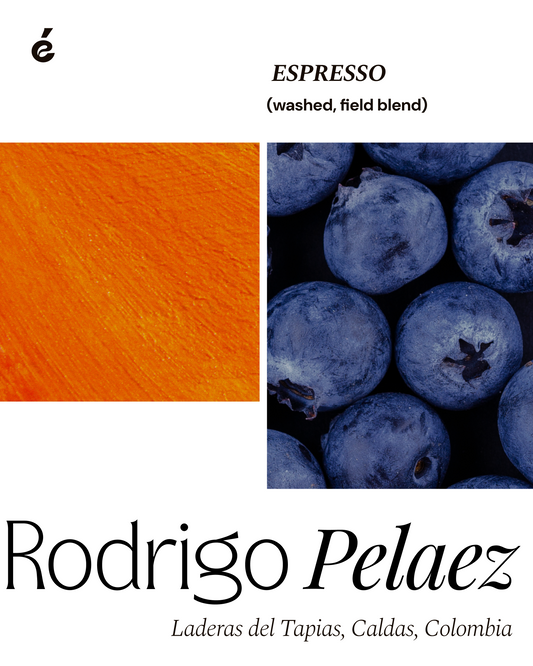 Rodrigo Pelaez