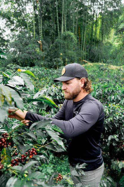 Sebastian Ramirez. Fresh roasted coffee beans. évery specialty coffee roasters. Coffee subscription Canada. Single origin coffee. 
