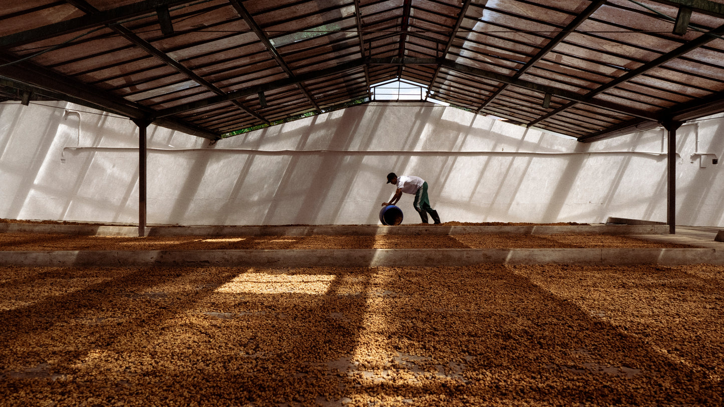 Sebastian Ramirez. Fresh roasted coffee beans. évery specialty coffee roasters. Coffee subscription Canada. Single origin coffee. 