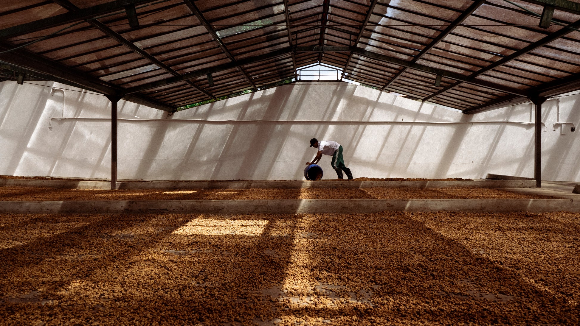 Sebastian Ramirez. Fresh roasted coffee beans. évery specialty coffee roasters. Coffee subscription Canada. Single origin coffee. 