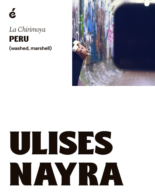 Ulises Nayra